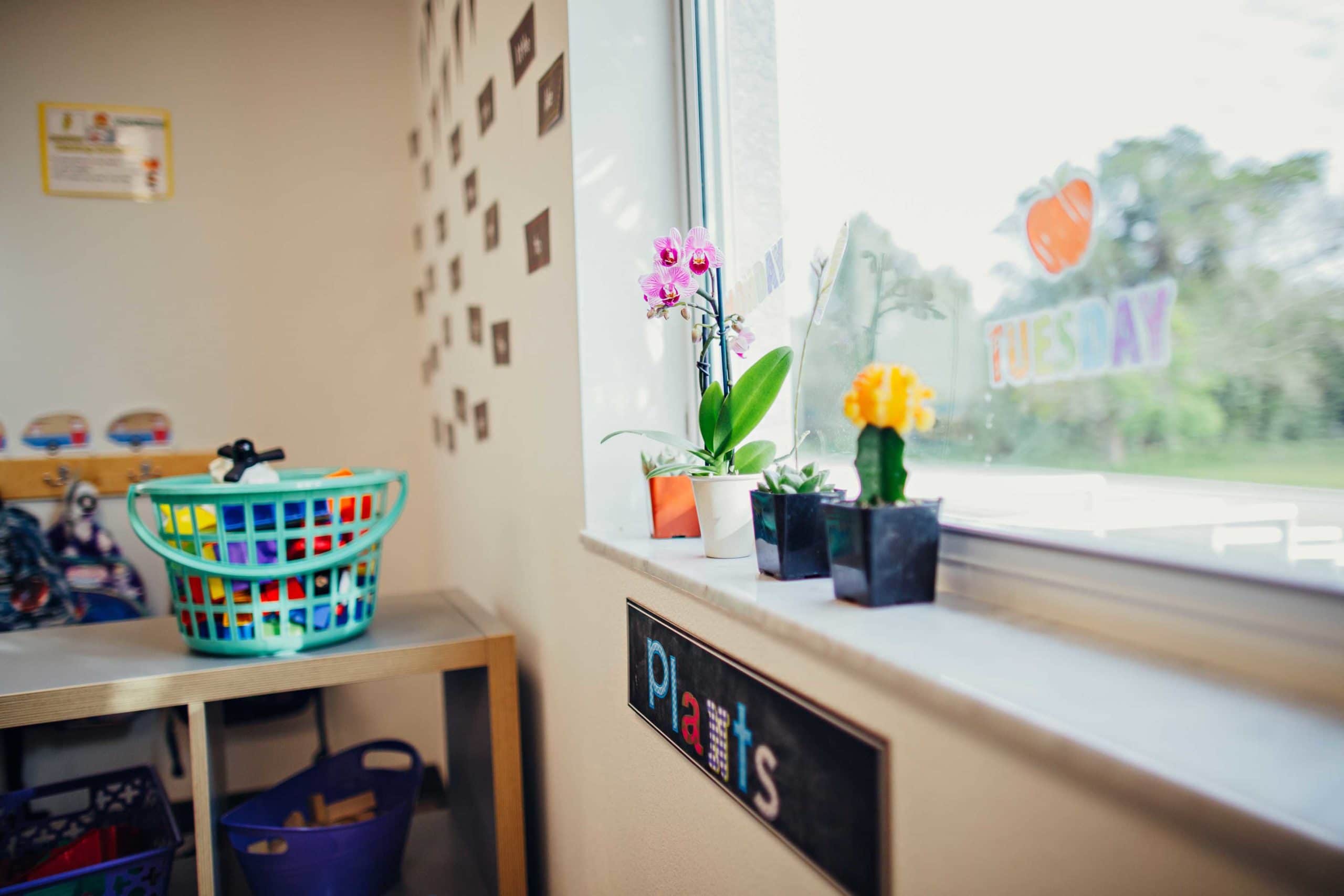 Plant on Window Ledge in Classroom at Bloom Academy